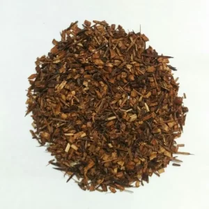 Athrixia phylicoides (Bush Tea)